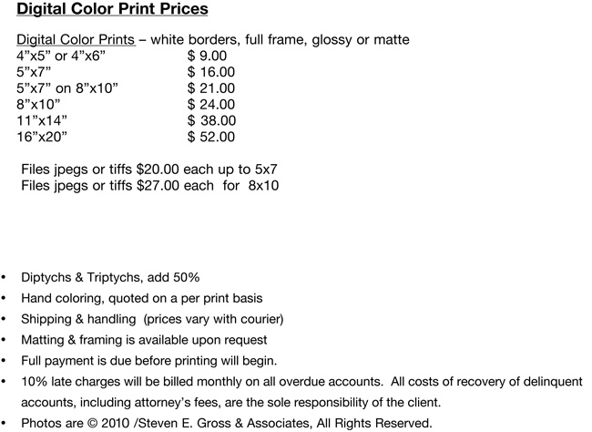 Digital Color Print #220719