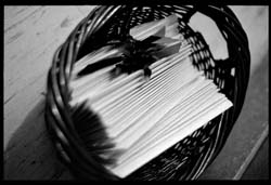F0305009_19